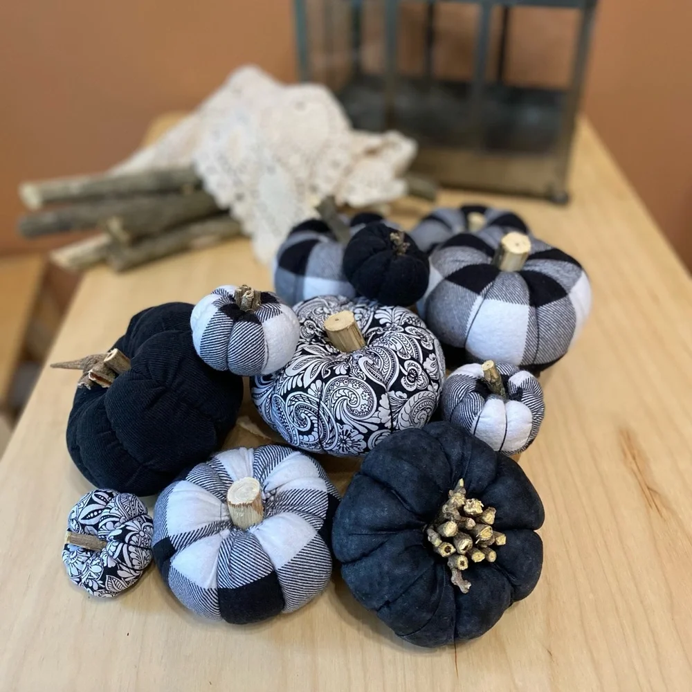 Pumpkin Set of 11  Fabric Black & White Fall and Halloween Decor